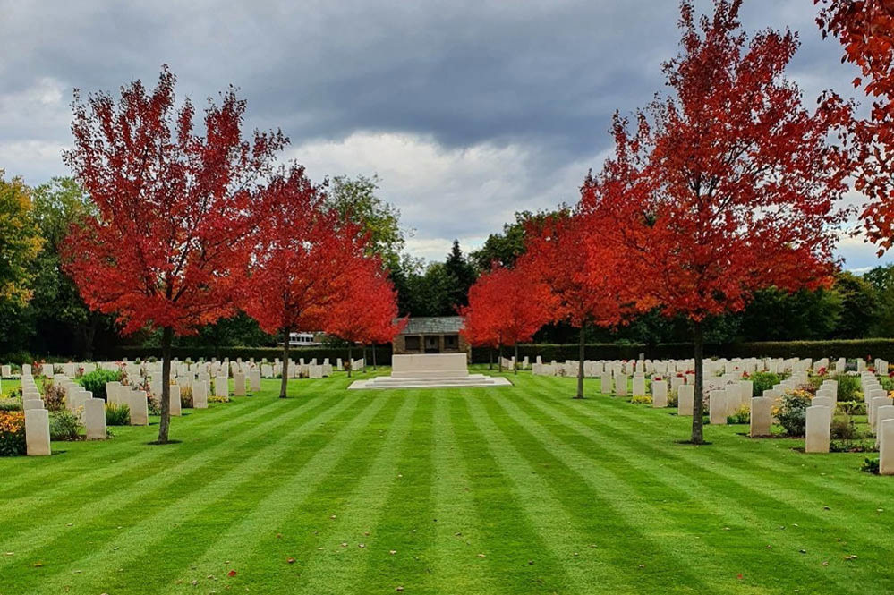 Read-leafed maple trees line a lawn towards the Stone of Remembrance at Harrogate (Stonefall) Cemetery