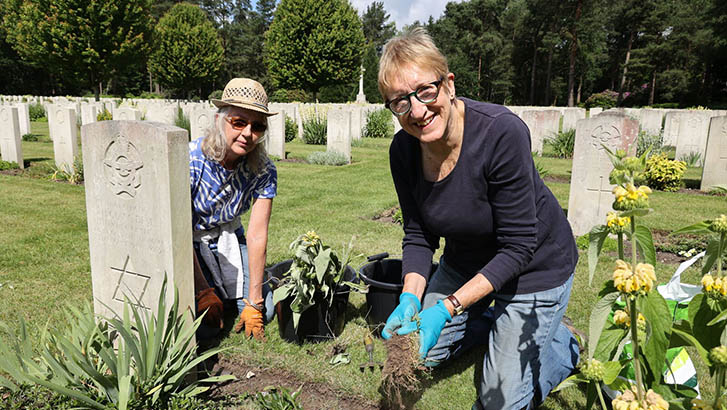 Volunteer in the UK