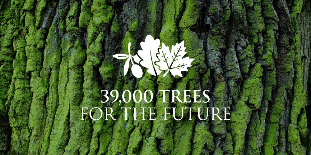 39,000 Trees for 2039: Get to know one of Commonwealth War Graves’ most exciting horticulture projects