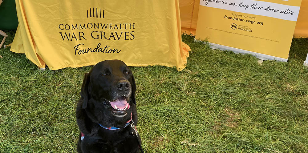 How you can fundraise for the Commonwealth War Graves Foundation